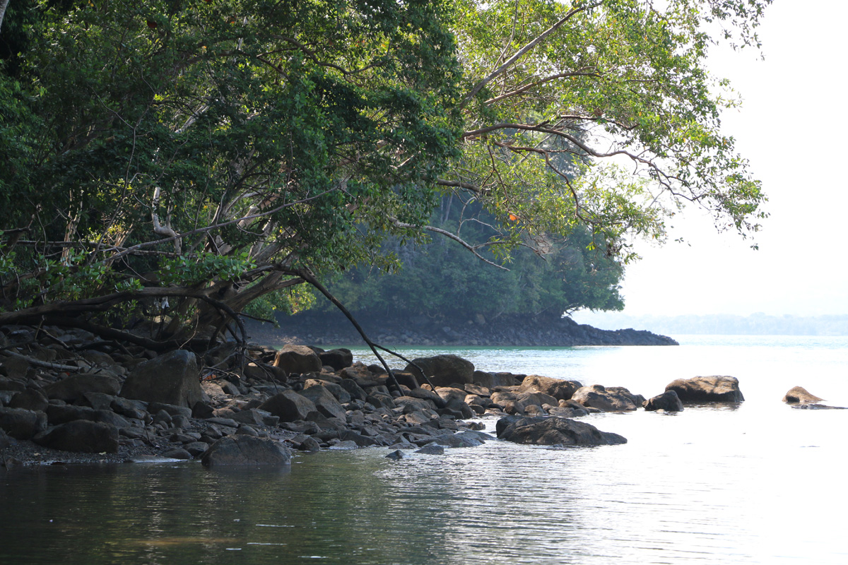 3 bed Land For Sale in Rincon, Puntarenas - thumb 8