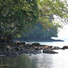  - Golfo Dulce Bahia Chal Farm For Sale