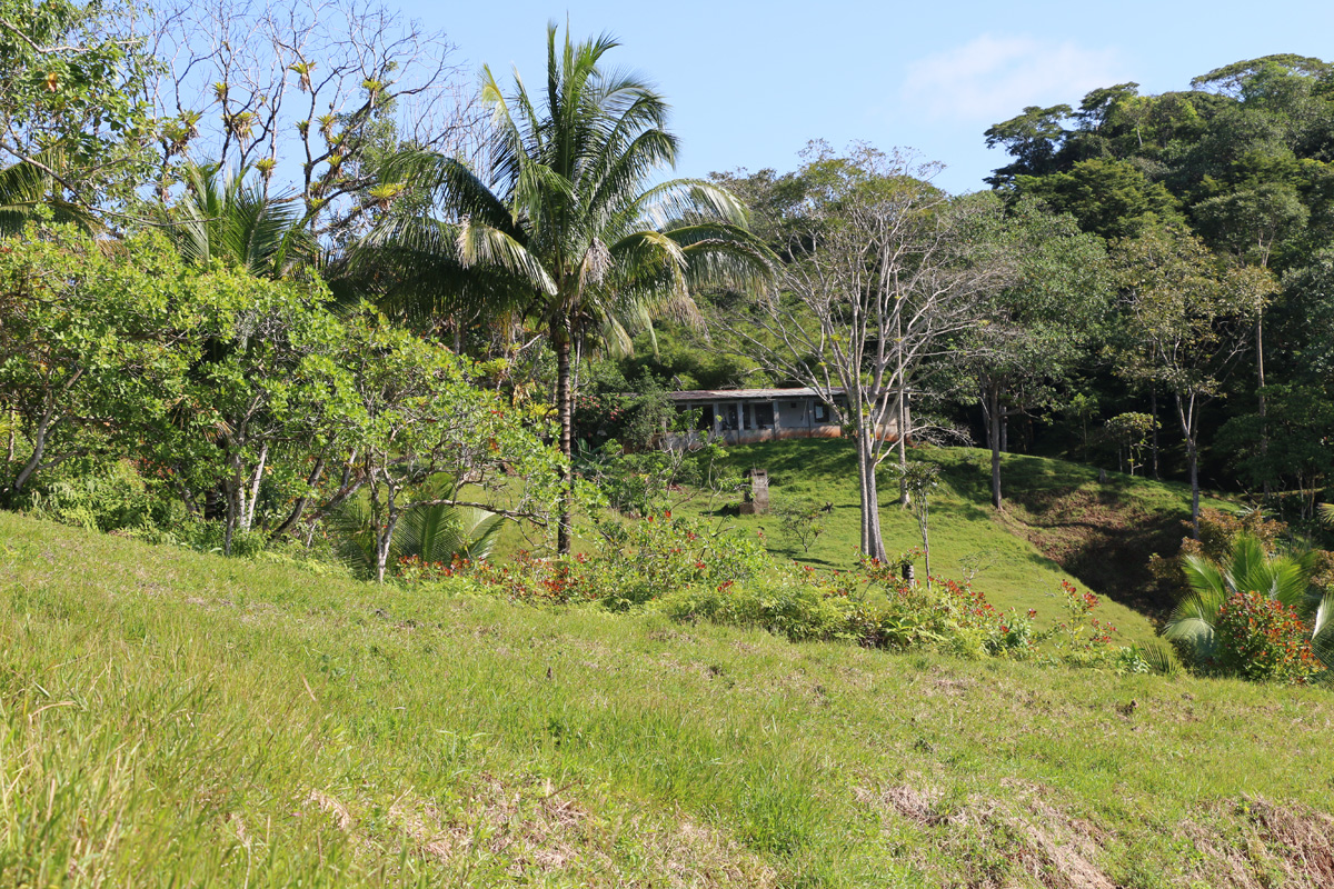 3 bed Land For Sale in Rincon, Puntarenas - thumb 10