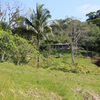  - Golfo Dulce Bahia Chal Farm For Sale
