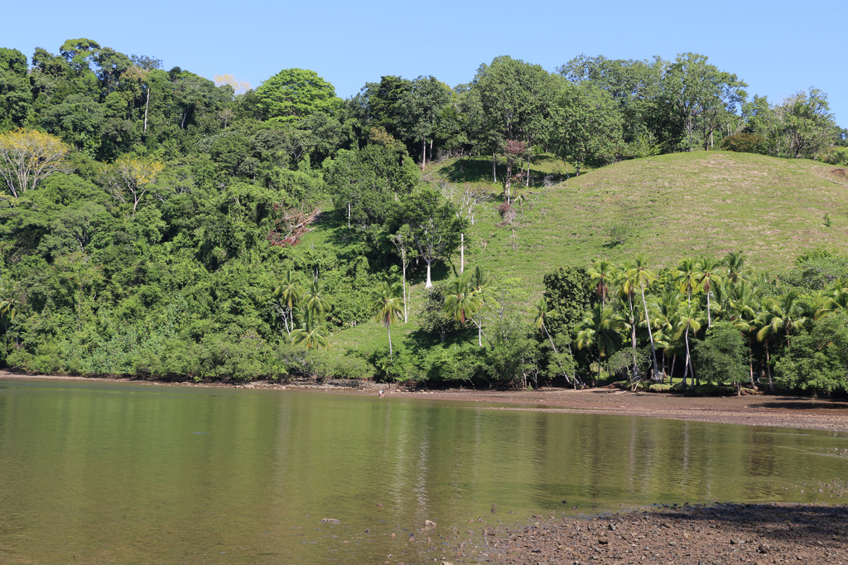 3 bed Land For Sale in Rincon, Puntarenas - thumb 9