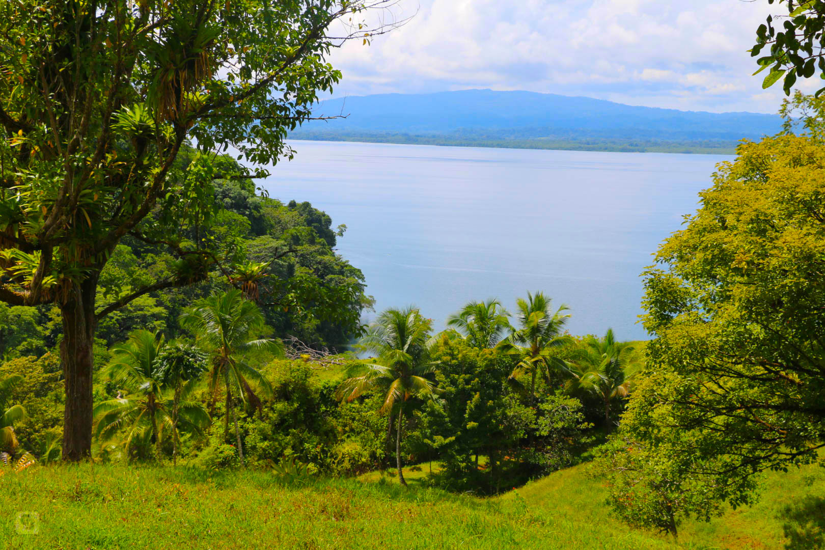 3 bed Land For Sale in Rincon, Puntarenas - thumb 11