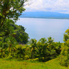  - Golfo Dulce Bahia Chal Farm For Sale