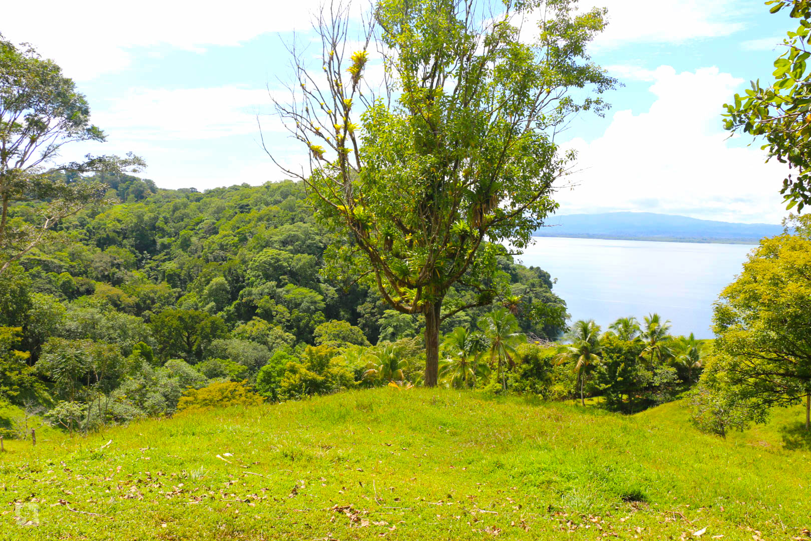3 bed Land For Sale in Rincon, Puntarenas - thumb 12