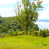  - Golfo Dulce Bahia Chal Farm For Sale