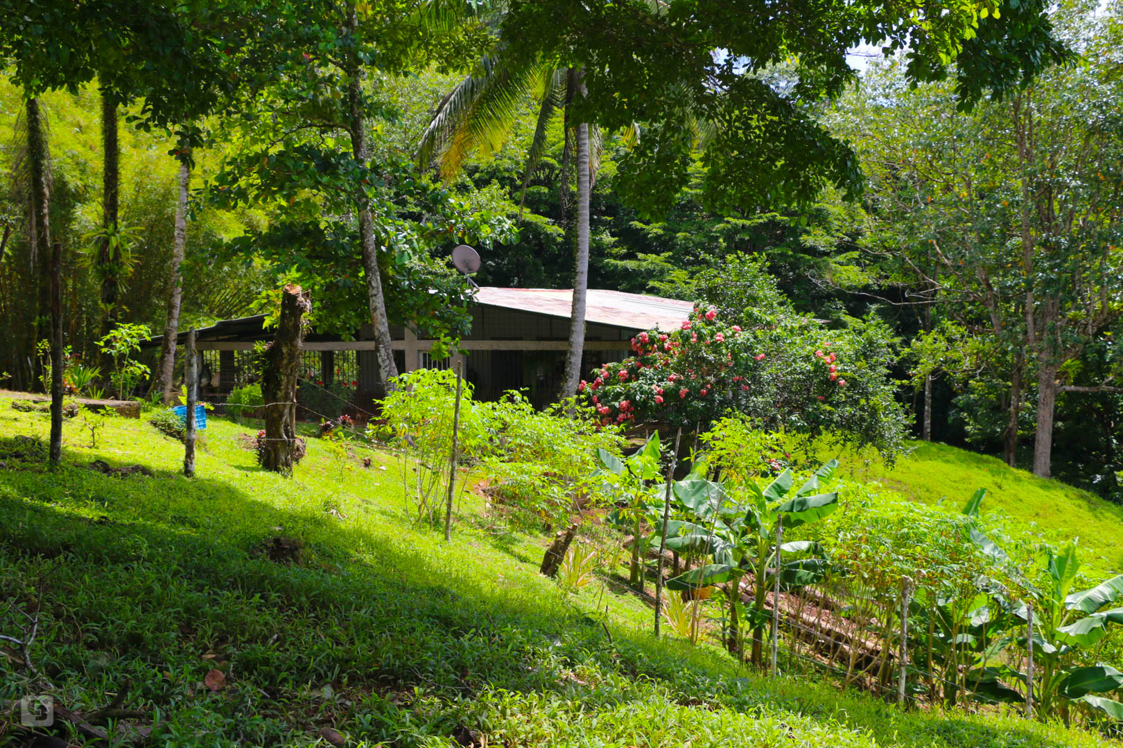 3 bed Land For Sale in Rincon, Puntarenas - thumb 6