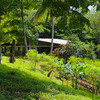  - Golfo Dulce Bahia Chal Farm For Sale