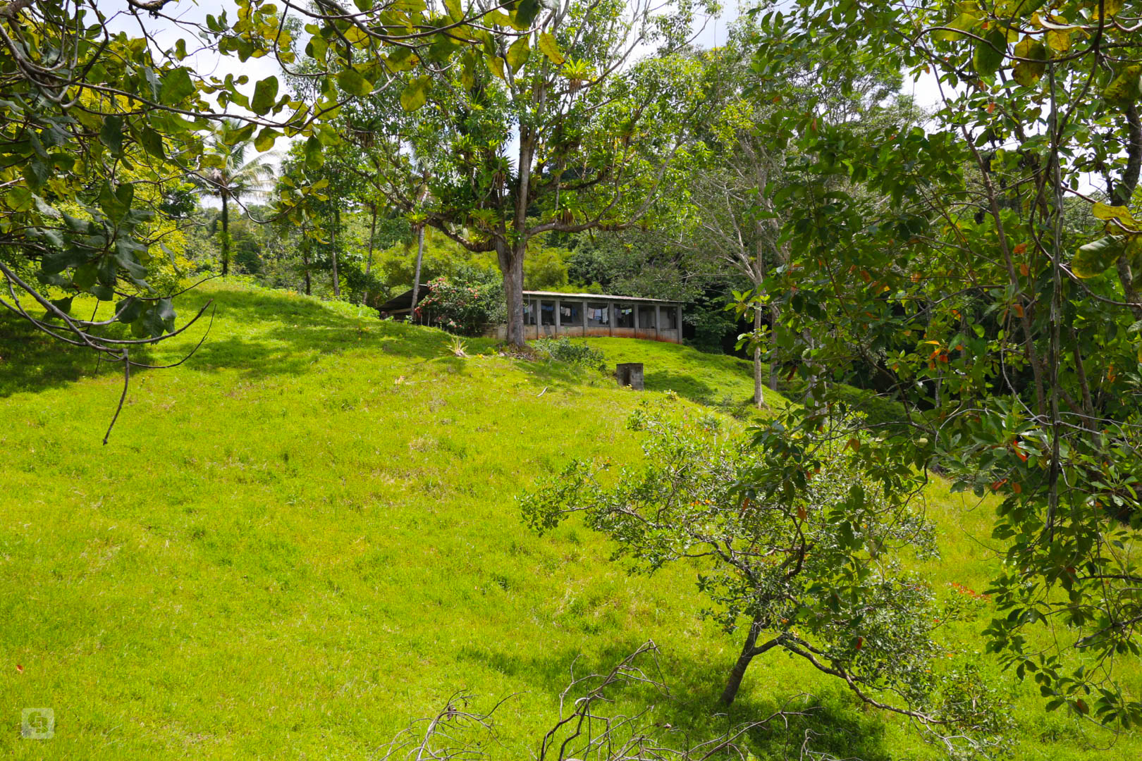 3 bed Land For Sale in Rincon, Puntarenas - thumb 19