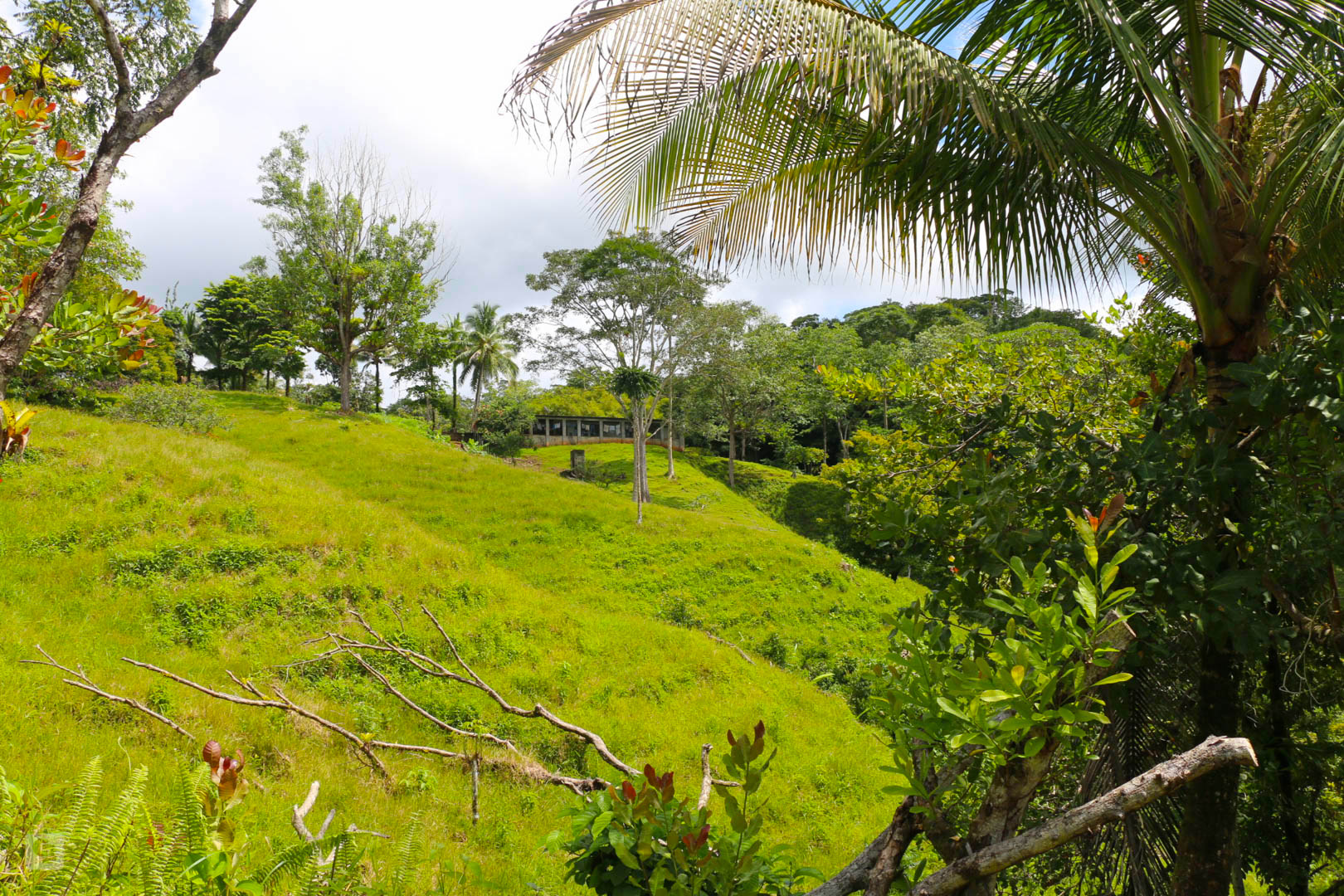 3 bed Land For Sale in Rincon, Puntarenas - thumb 13