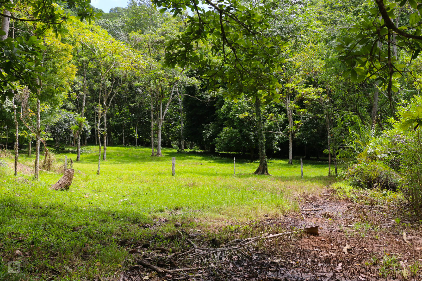 3 bed Land For Sale in Rincon, Puntarenas - thumb 14