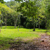  - Golfo Dulce Bahia Chal Farm For Sale