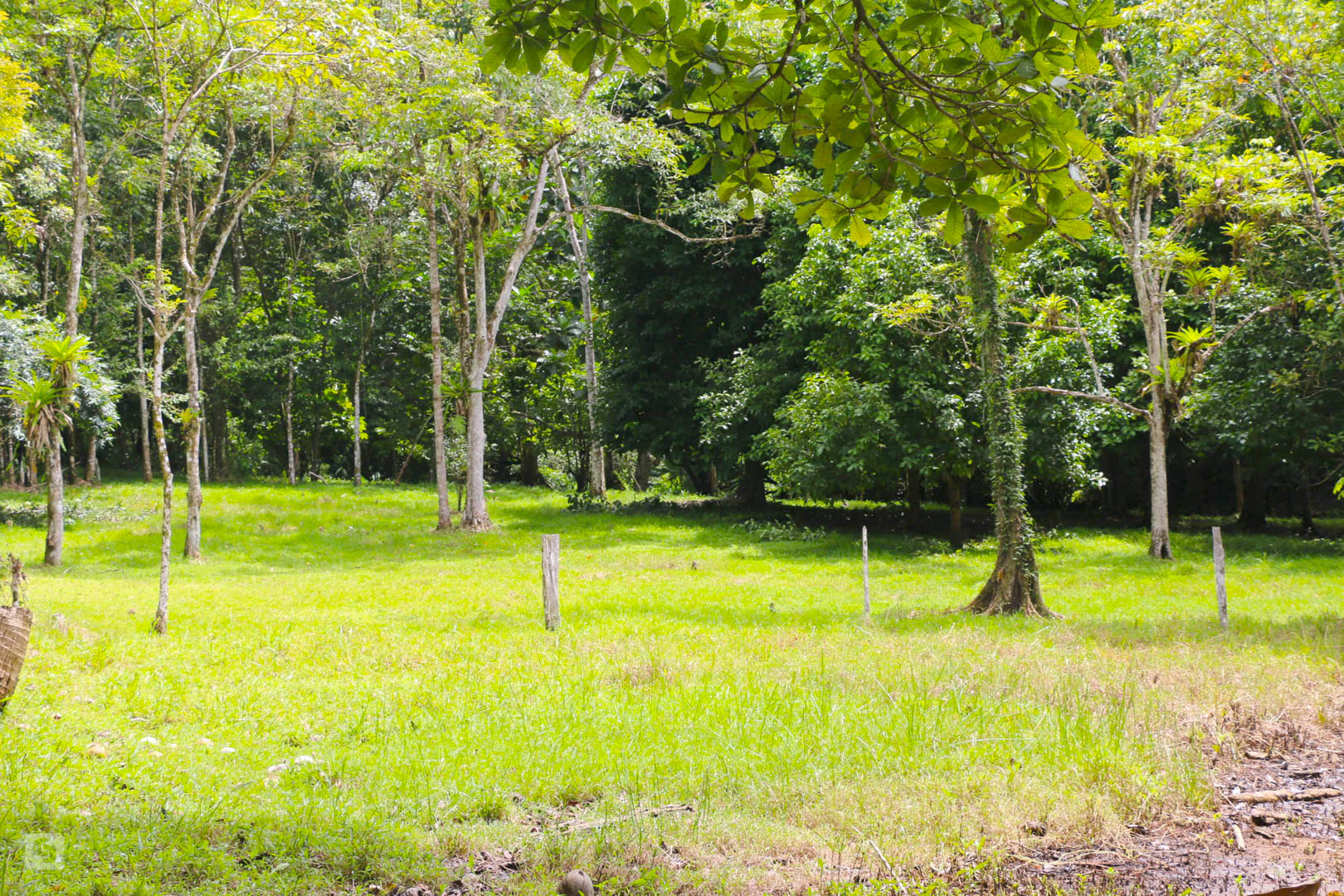 3 bed Land For Sale in Rincon, Puntarenas - thumb 15
