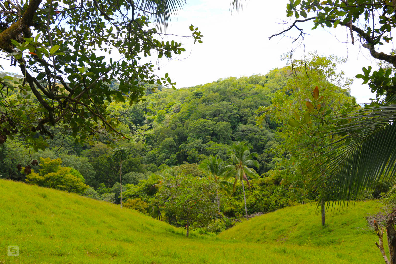 3 bed Land For Sale in Rincon, Puntarenas - thumb 17