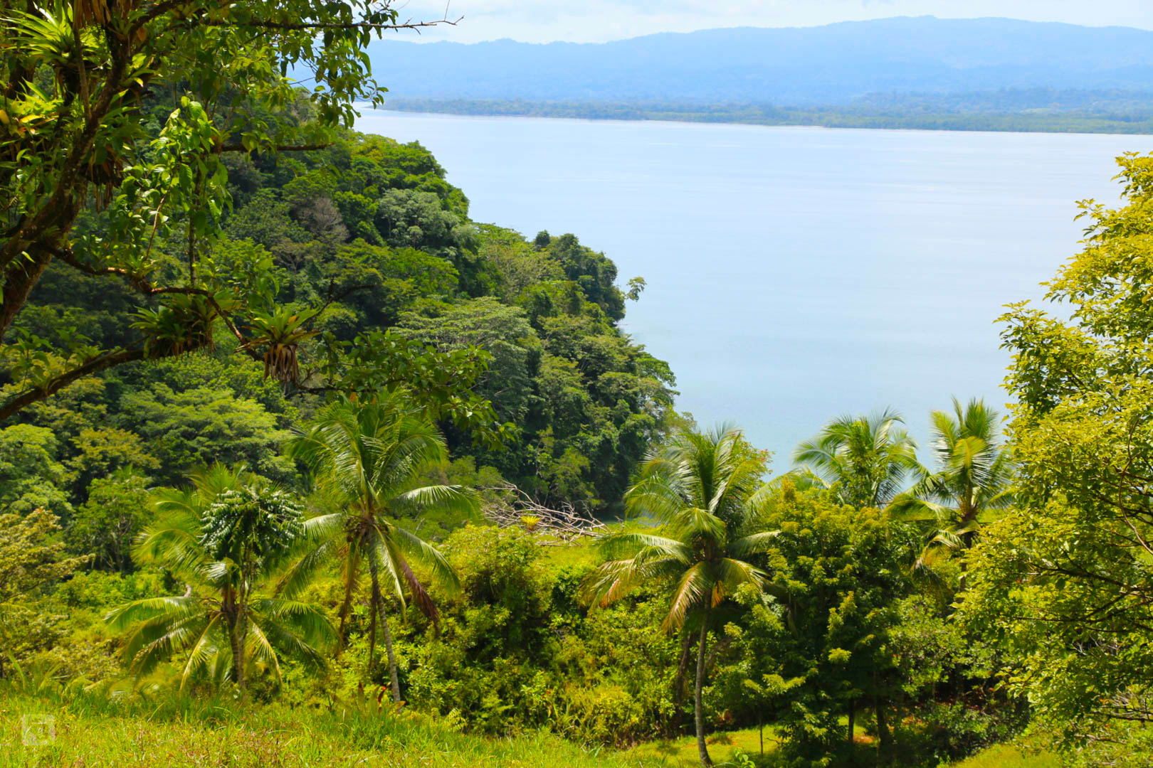 3 bed Land For Sale in Rincon, Puntarenas - thumb 5