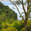 - Golfo Dulce Bahia Chal Farm For Sale
