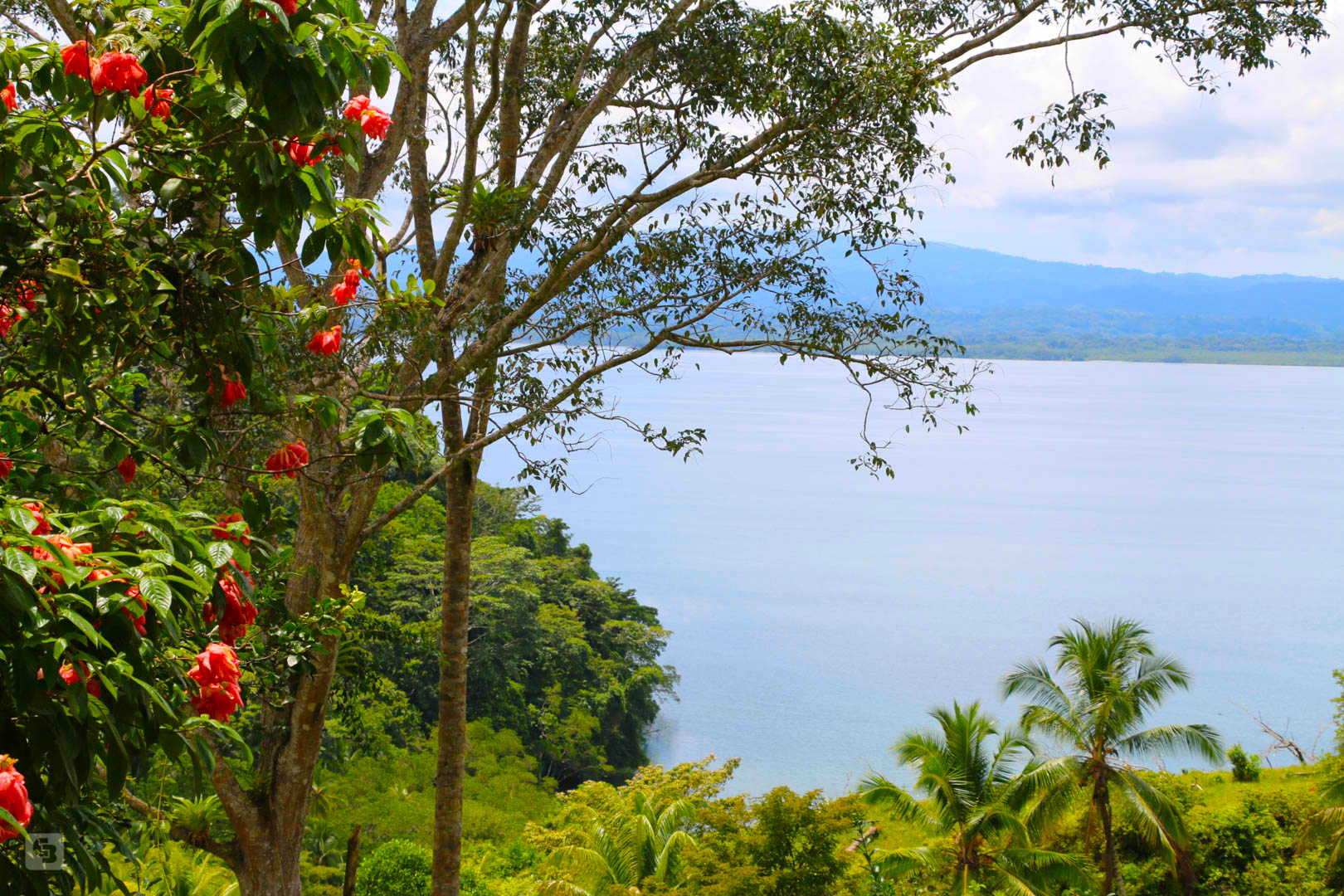 3 bed Land For Sale in Rincon, Puntarenas - thumb 2