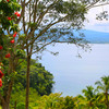  - Golfo Dulce Bahia Chal Farm For Sale