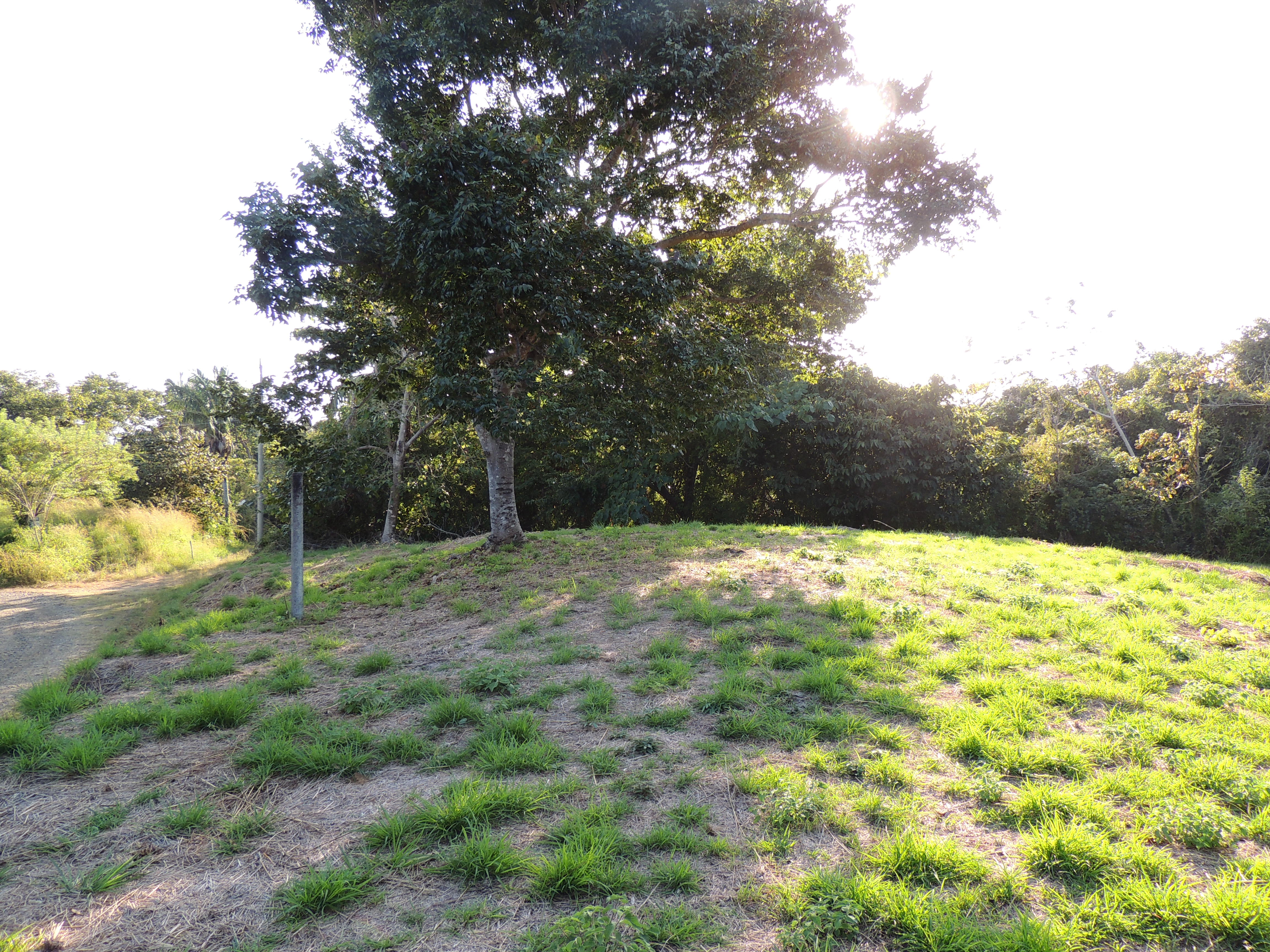 0 bed Land For Sale in Punta Islita Pacific, Guanacaste - thumb 2