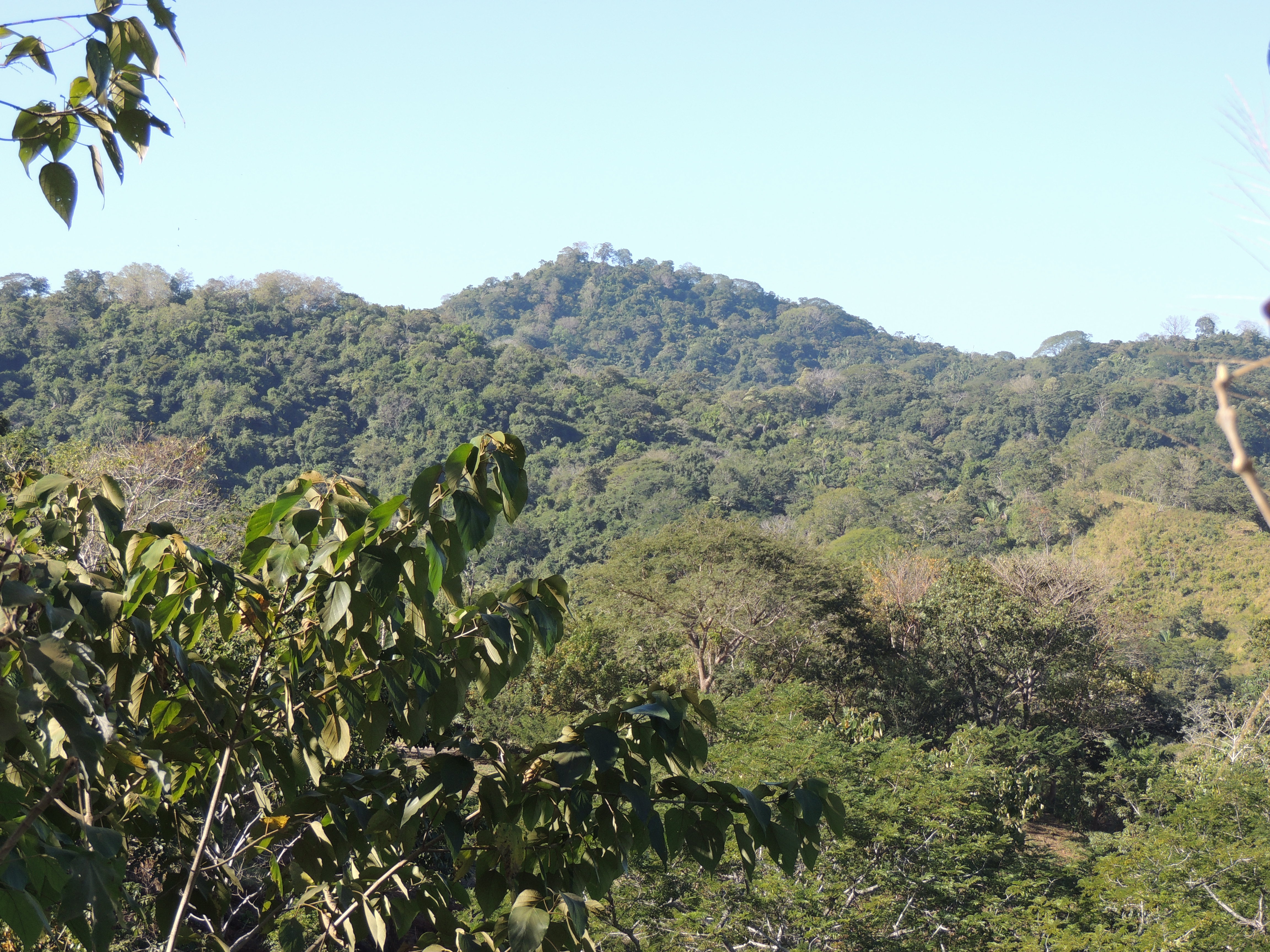0 bed Land For Sale in Punta Islita Pacific, Guanacaste - thumb 4