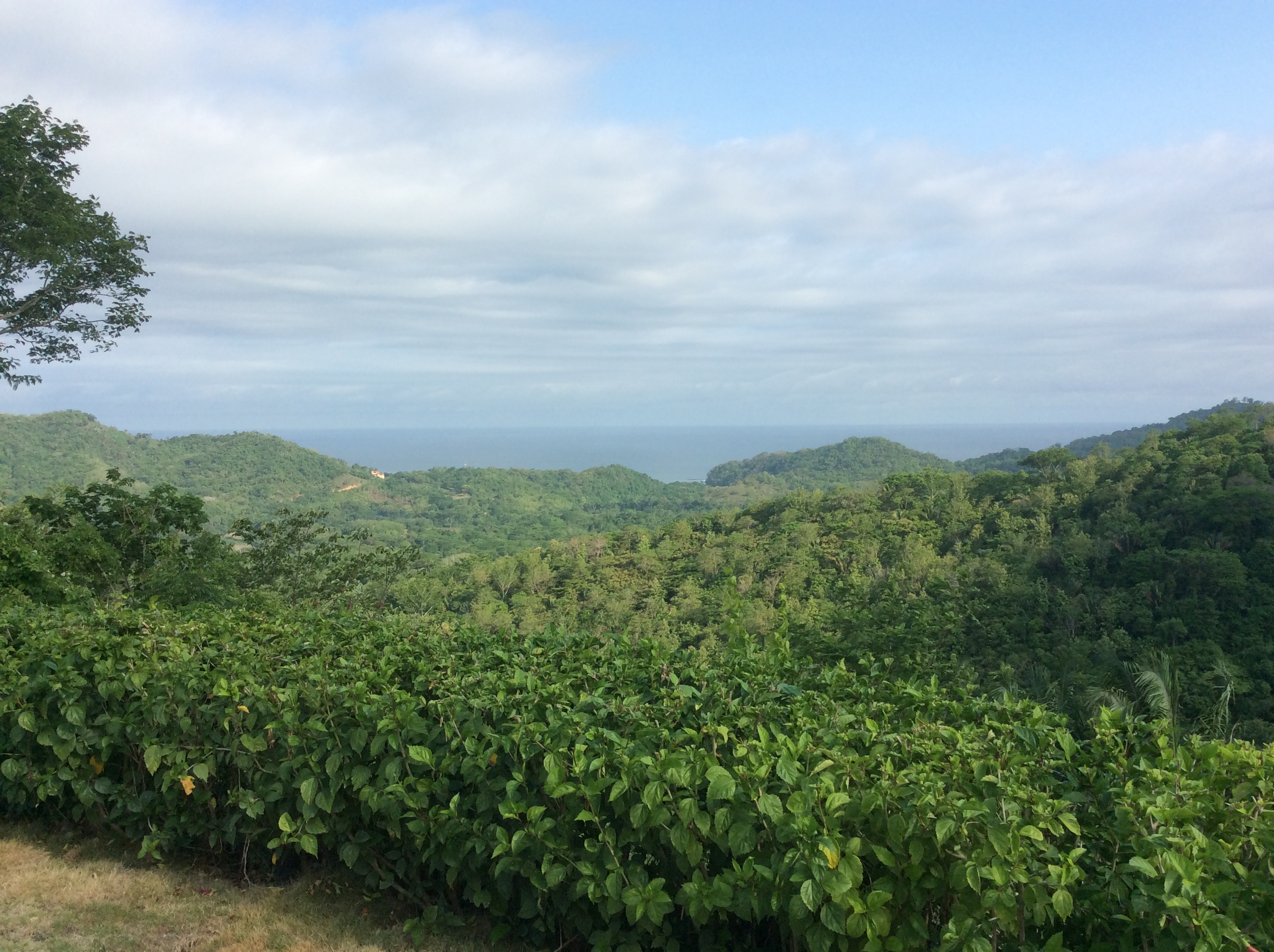 2 bed Single Family Homes For Sale in Samara, Guanacaste - thumb 3