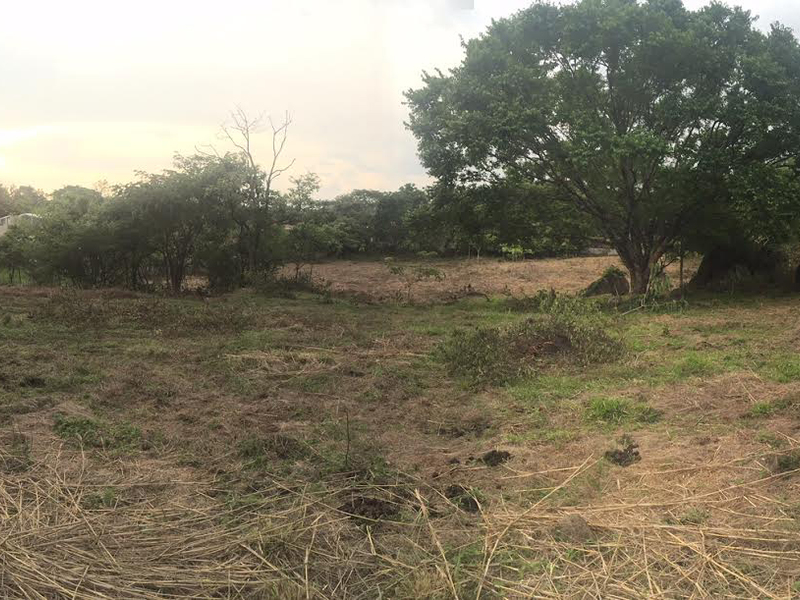 0 bed Land For Sale in Alajuela, Alajuela - 1