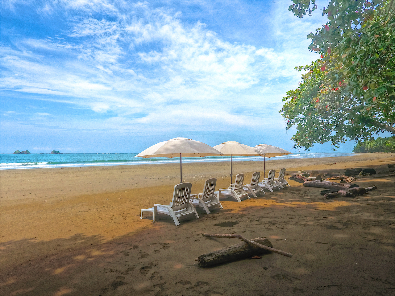 2 bed Condo For Sale in Uvita, Puntarenas - thumb 18