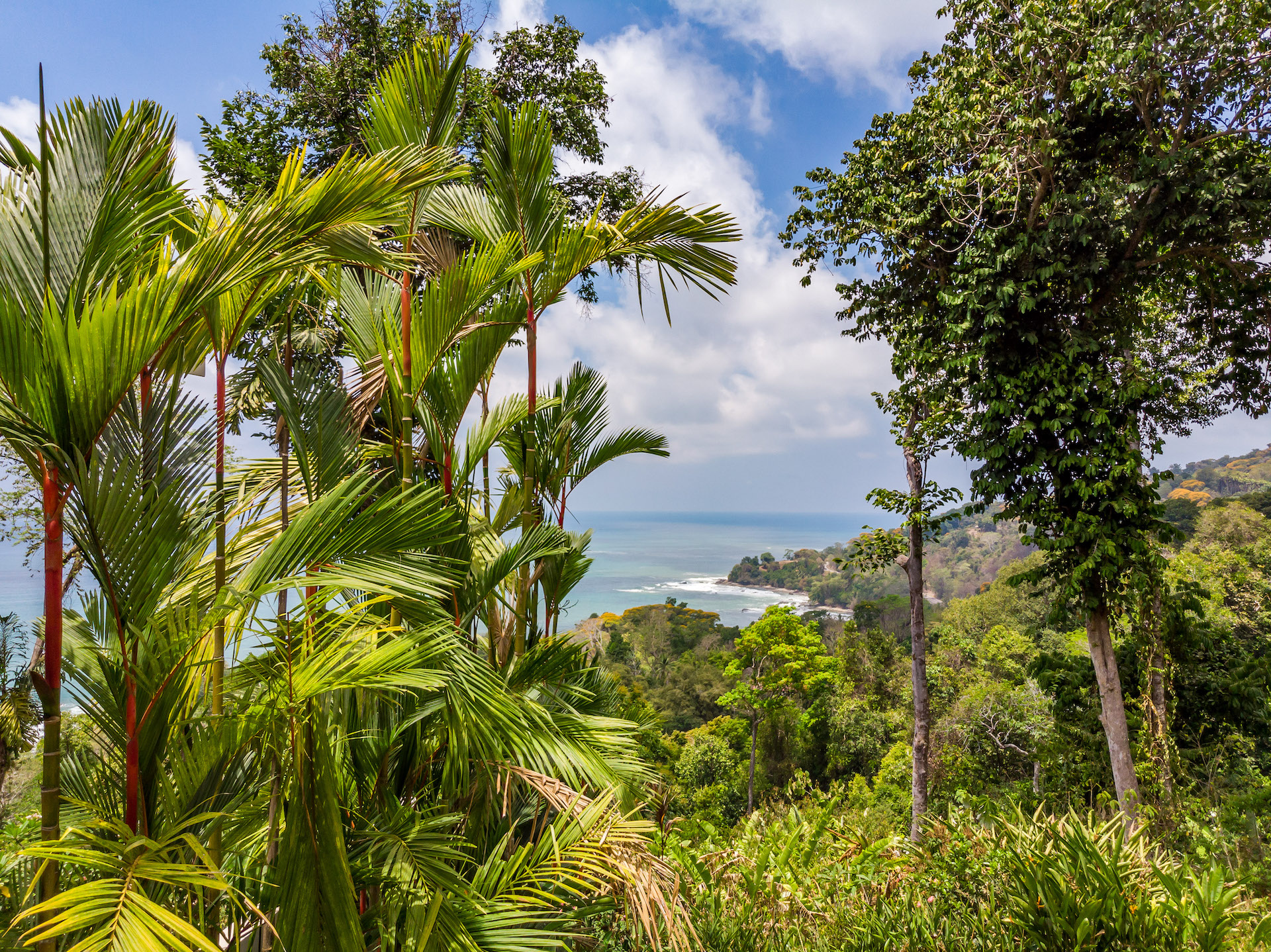 3 bed Single Family Homes For Sale in Dominical, Puntarenas - thumb 4