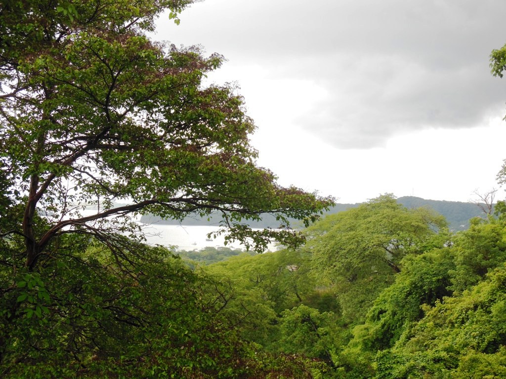 0 bed Land For Sale in Playas Del Coco, Guanacaste - thumb 16