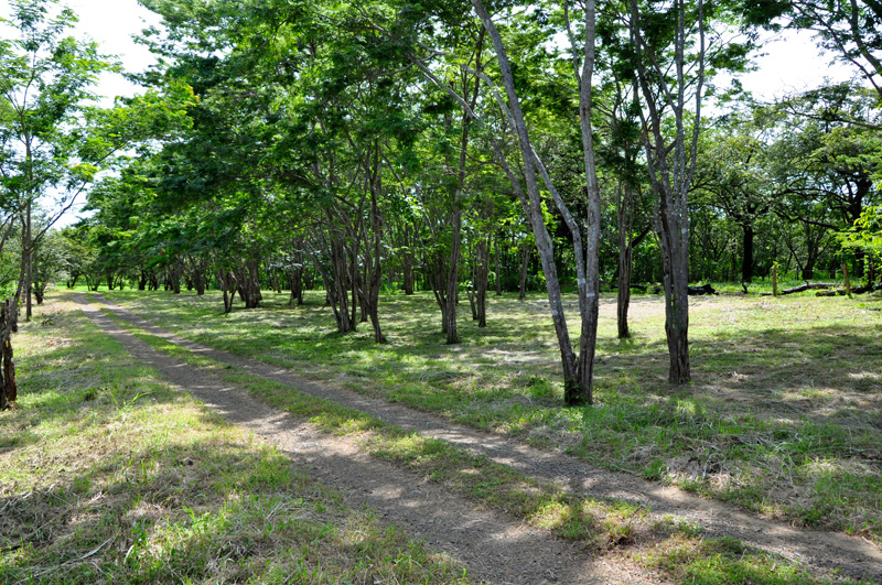 Featured property image