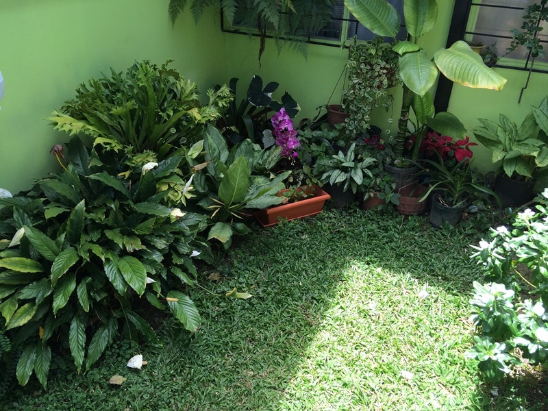 5 bed Single Family Homes For Sale in Rohrmoser, San Jose - 1