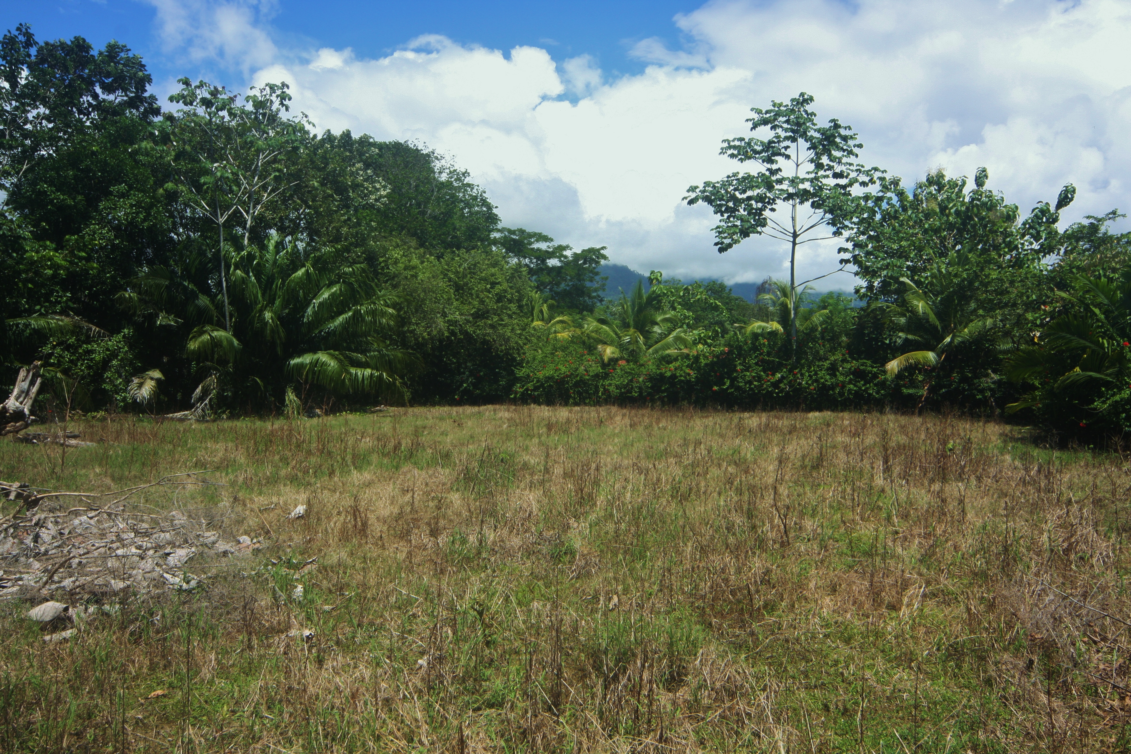 Featured property image