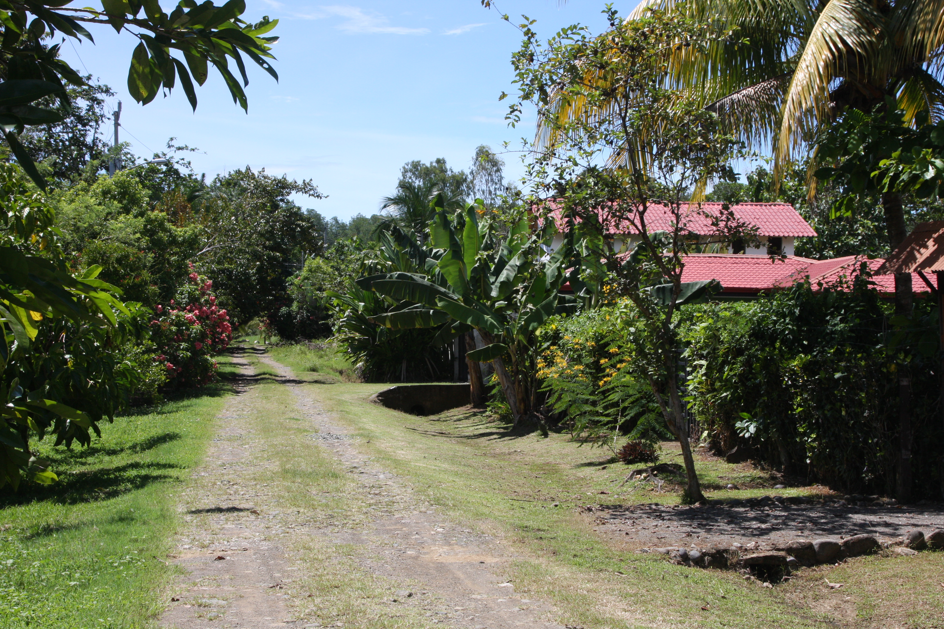 Featured property image