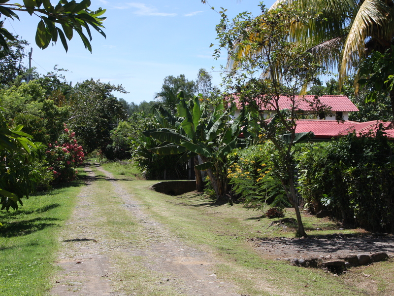 0 bed Land For Sale in Uvita, Puntarenas - 1