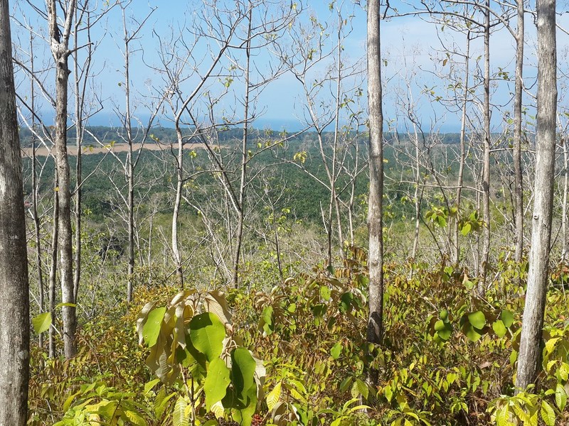 0 bed Land For Sale in Matapalo, Puntarenas - 1