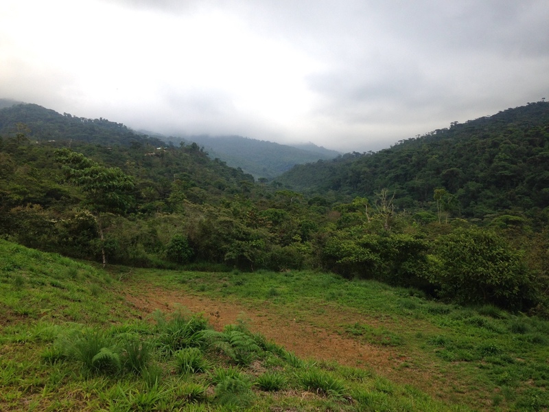 0 bed Land For Sale in Perez Zeledon, Puntarenas - 1