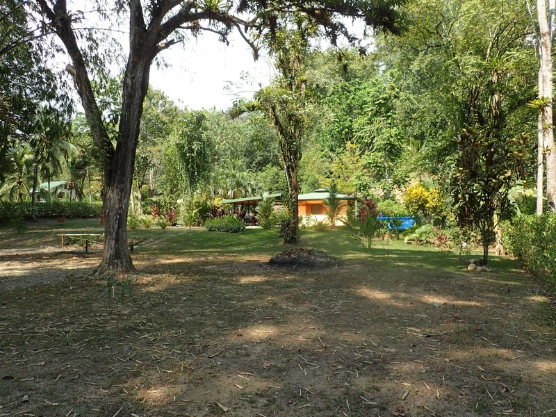 1 bed Single Family Homes For Sale in Ojochal, Puntarenas - 1