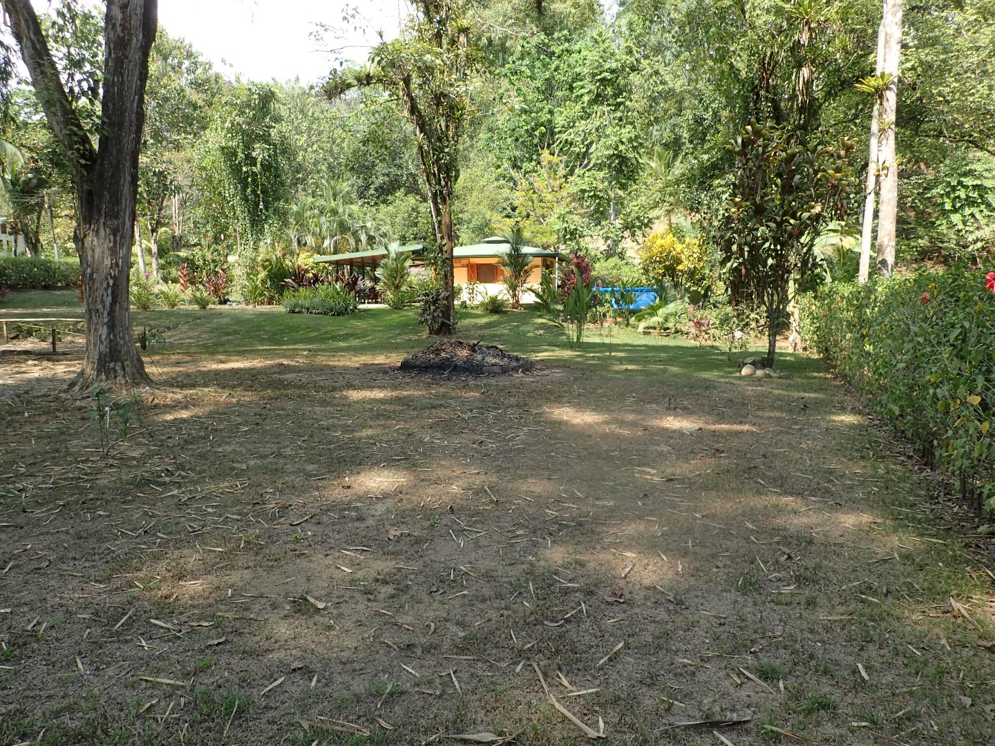 1 bed Single Family Homes For Sale in Ojochal, Puntarenas - thumb 2