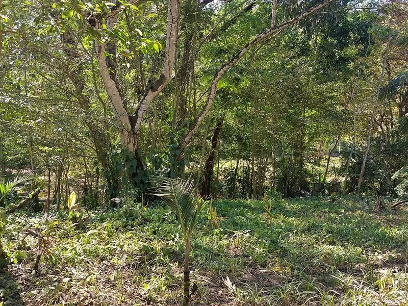 0 bed Land For Sale in Jaco, Puntarenas - 1