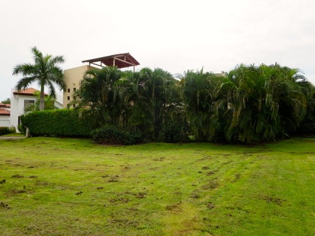 0 bed Land For Sale in Playa Hermosa, Puntarenas - thumb 7