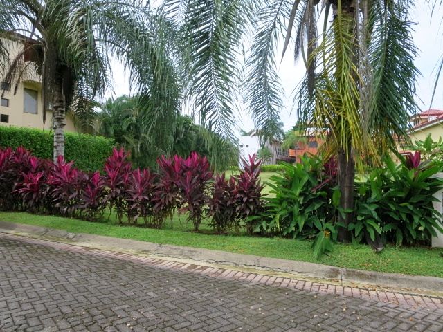 0 bed Land For Sale in Playa Hermosa, Puntarenas - thumb 8