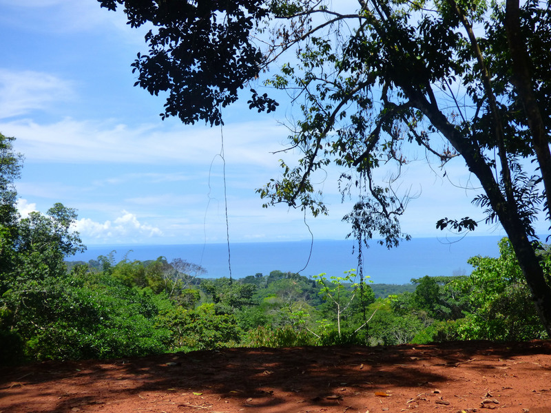 0 bed Land For Sale in Dominical, Puntarenas - 1