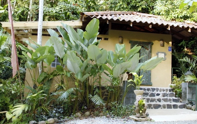 7 bed Single Family Homes For Sale in Dominical, Puntarenas - thumb 20