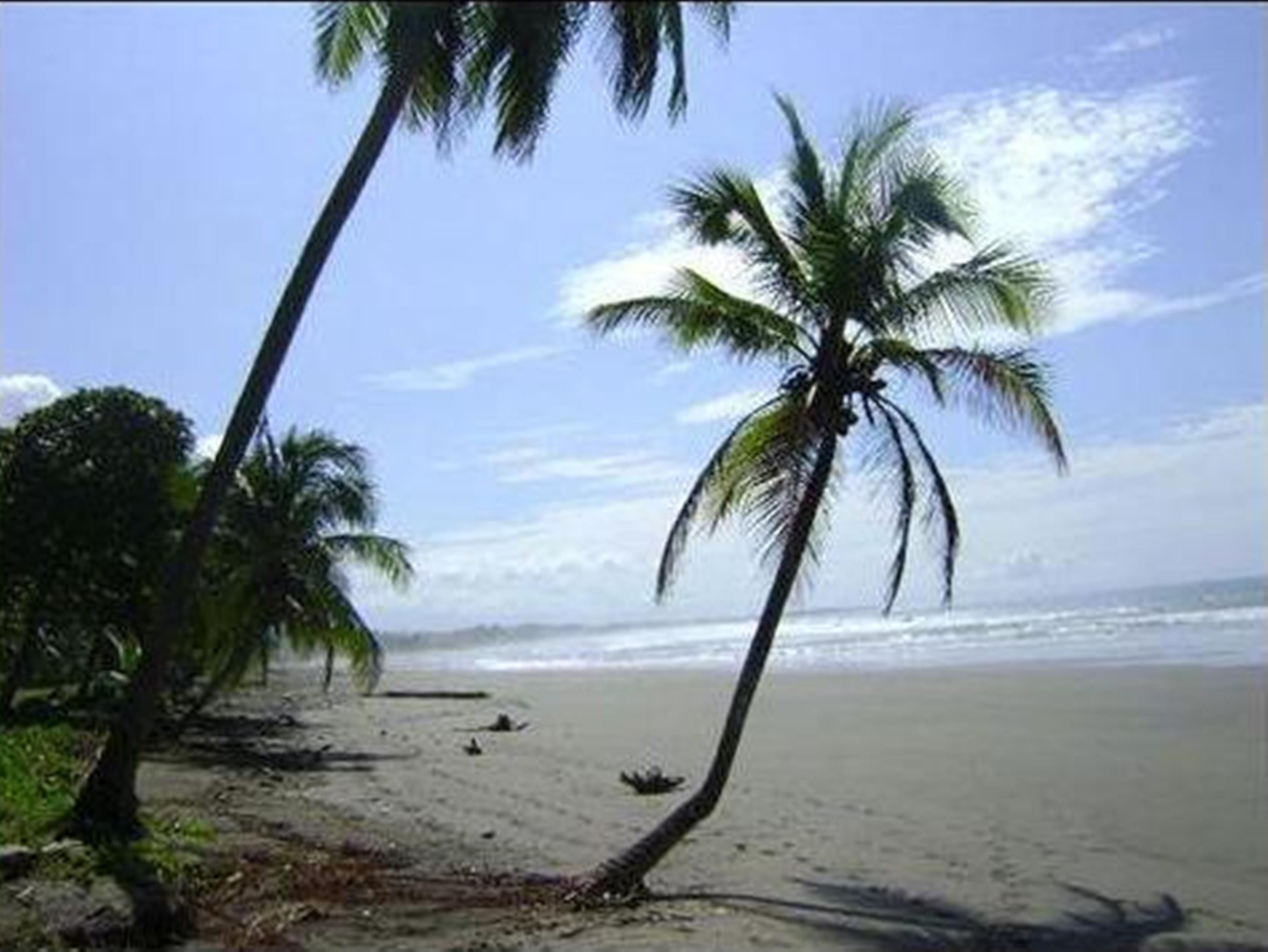 3 bed Single Family Homes For Sale in Playa Bejuco, Puntarenas - thumb 16