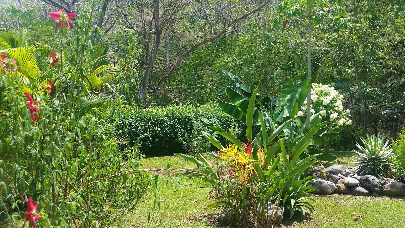 3 bed Single Family Homes For Sale in Jaco, Puntarenas - thumb 3
