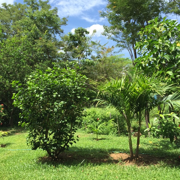 2 bed Condo For Sale in Ocotal, Guanacaste - thumb 18