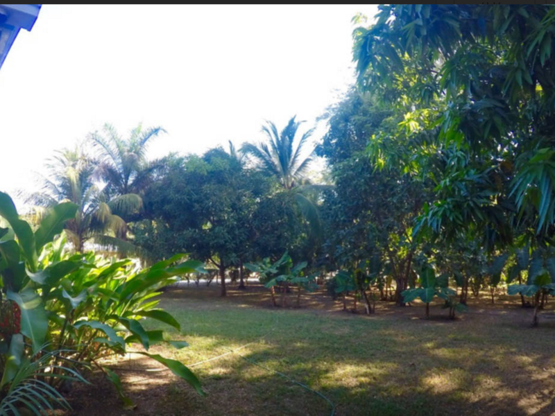 1 bed Single Family Homes For Sale in Playa Potrero, Guanacaste - thumb 1