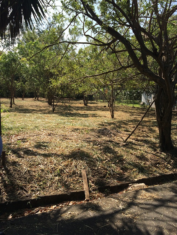 0 bed Land For Sale in Santa Ana, San Jose - thumb 1