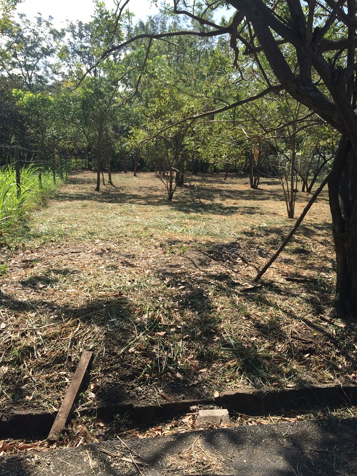 0 bed Land For Sale in Santa Ana, San Jose - thumb 2
