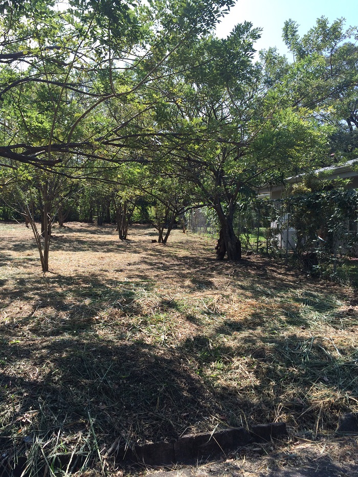 0 bed Land For Sale in Santa Ana, San Jose - thumb 3