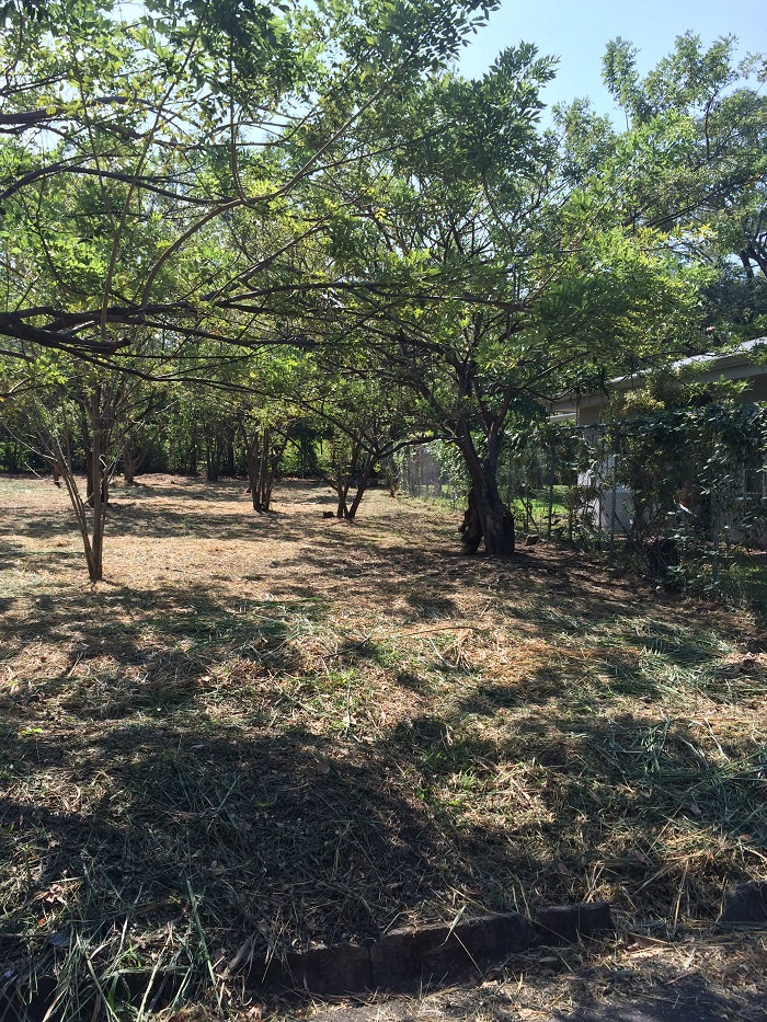 0 bed Land For Sale in Santa Ana, San Jose - thumb 4